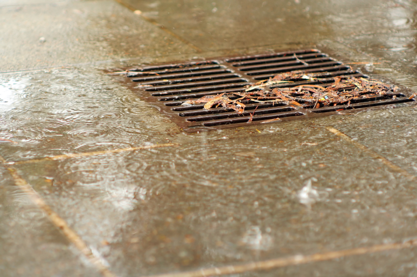 drain jetting cost