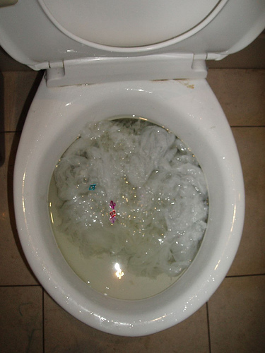 Rotten Egg Smell After Flushing the Toilet