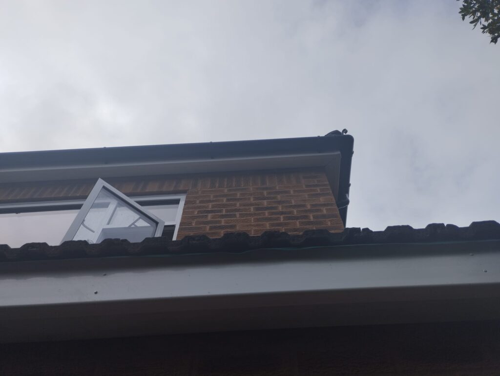 Roof Gutter Cleaning