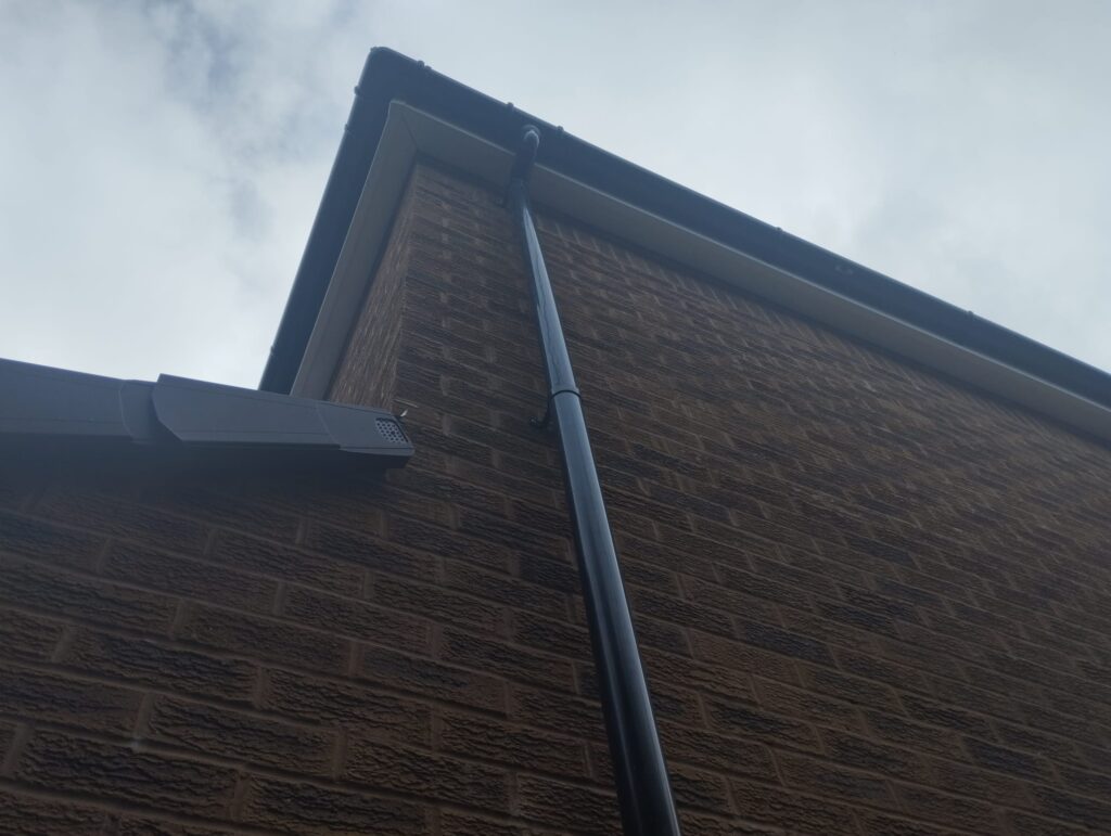 Schedule Roof Gutter Cleaning